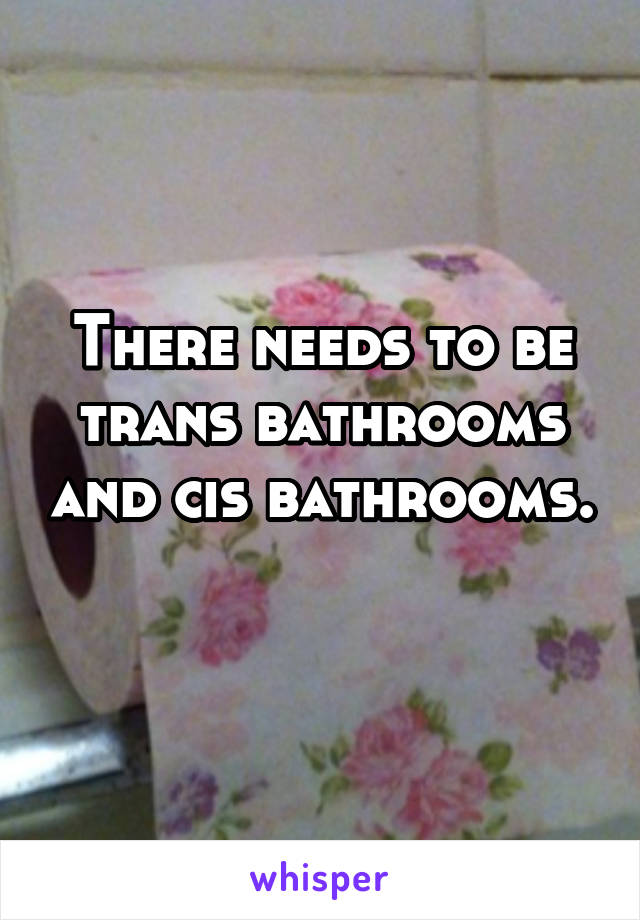 There needs to be trans bathrooms and cis bathrooms. 