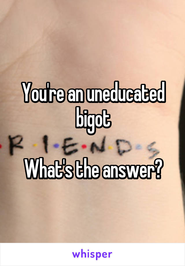 You're an uneducated bigot

What's the answer?