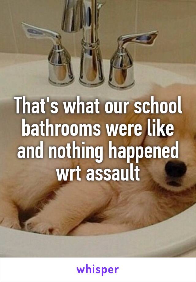 That's what our school bathrooms were like and nothing happened wrt assault