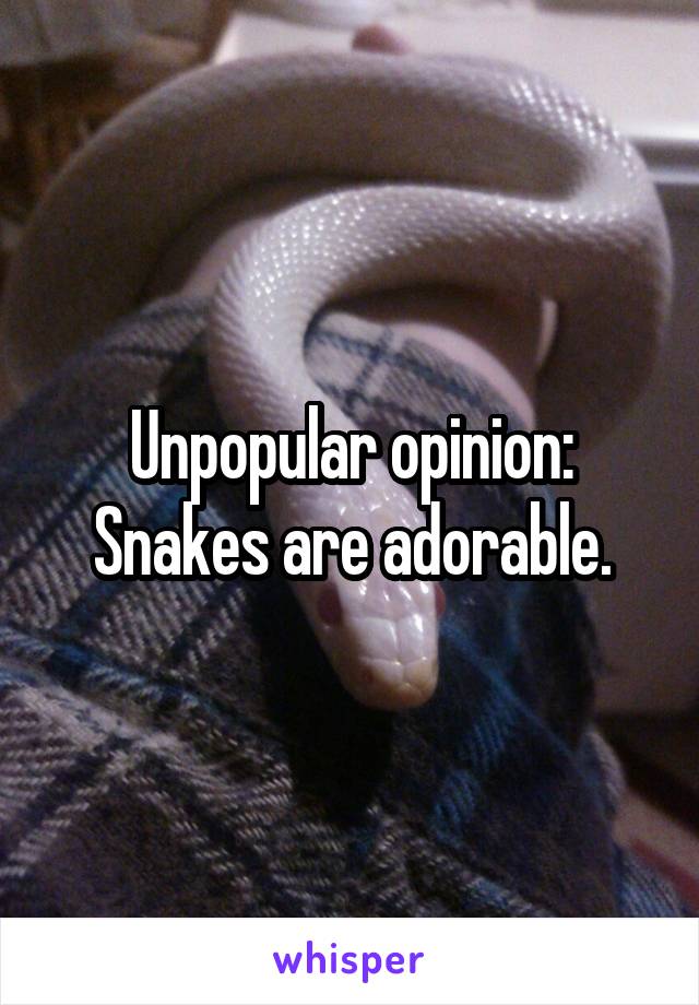 Unpopular opinion:
Snakes are adorable.