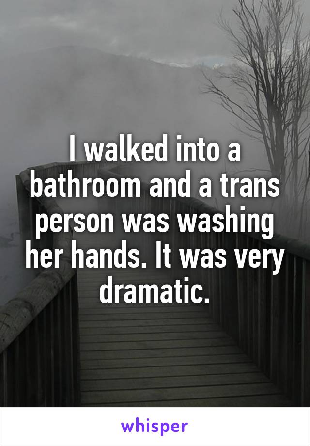 I walked into a bathroom and a trans person was washing her hands. It was very dramatic.