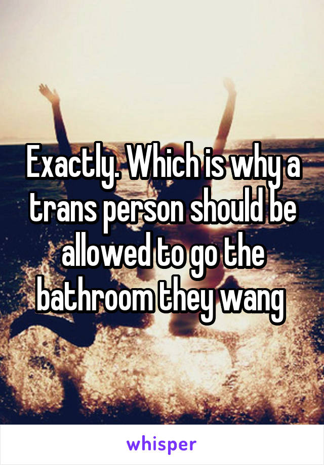 Exactly. Which is why a trans person should be allowed to go the bathroom they wang 