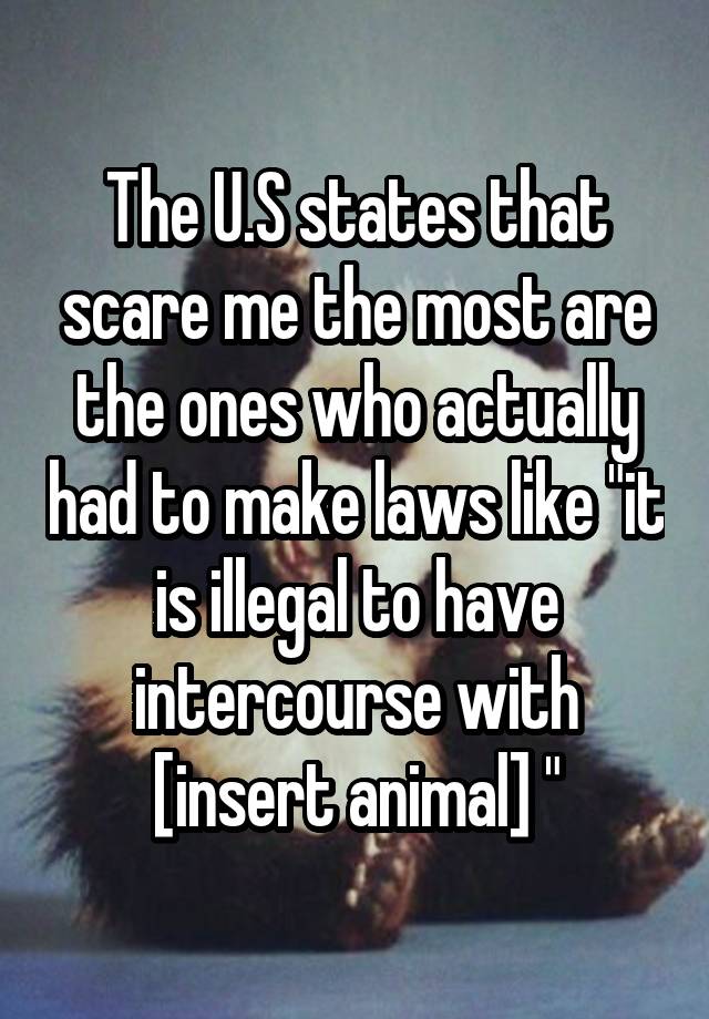 The U.S states that scare me the most are the ones who actually had to make laws like "it is illegal to have intercourse with [insert animal] "