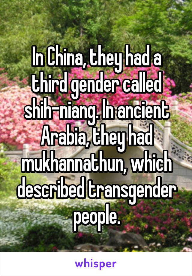 In China, they had a third gender called shih-niang. In ancient Arabia, they had mukhannathun, which described transgender people.