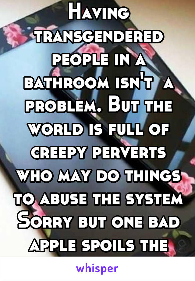 Having transgendered people in a bathroom isn't  a problem. But the world is full of creepy perverts who may do things to abuse the system Sorry but one bad apple spoils the bunch.