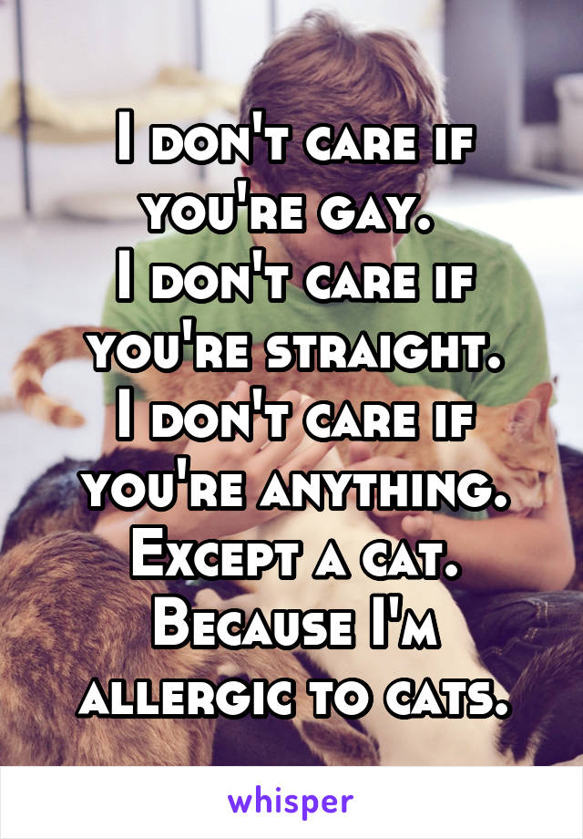 I don't care if you're gay. 
I don't care if you're straight.
I don't care if you're anything.
Except a cat.
Because I'm allergic to cats.