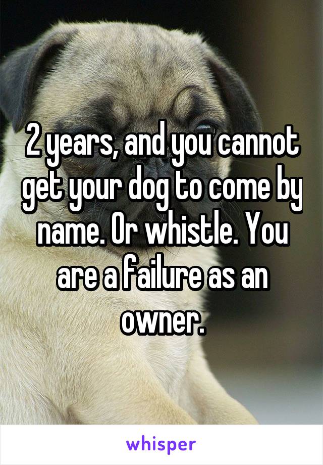 2 years, and you cannot get your dog to come by name. Or whistle. You are a failure as an owner.