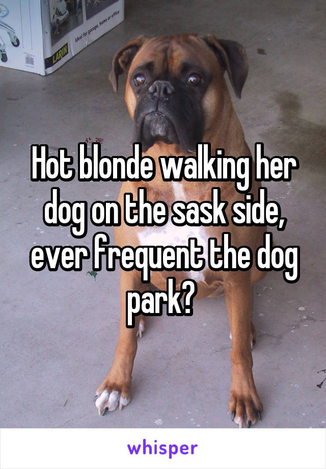 Hot blonde walking her dog on the sask side, ever frequent the dog park? 