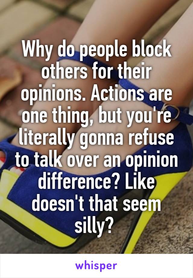 Why do people block others for their opinions. Actions are one thing, but you're literally gonna refuse to talk over an opinion difference? Like doesn't that seem silly? 