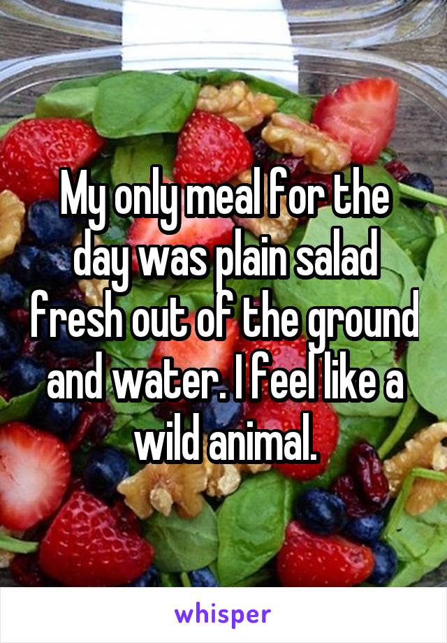 My only meal for the day was plain salad fresh out of the ground and water. I feel like a wild animal.