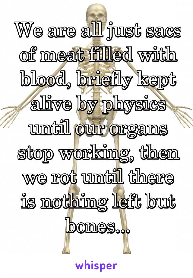 We are all just sacs of meat filled with blood, briefly kept alive by physics until our organs stop working, then we rot until there is nothing left but bones...
