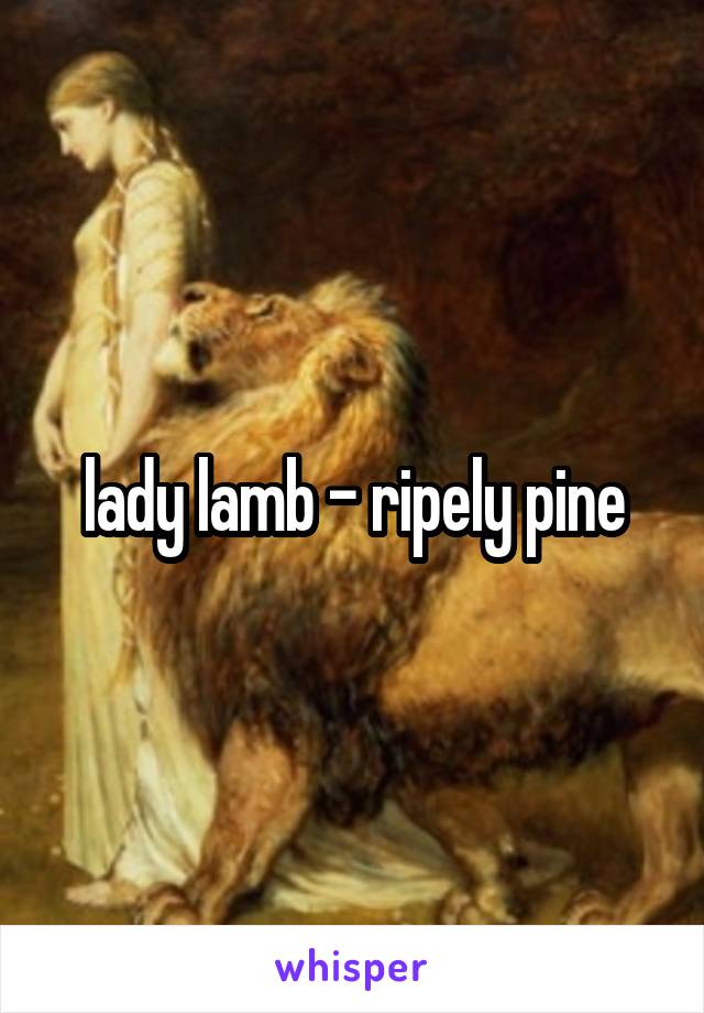 lady lamb - ripely pine