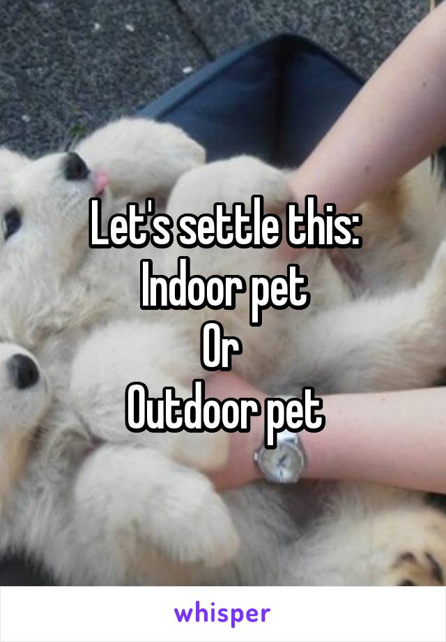 Let's settle this:
Indoor pet
Or 
Outdoor pet