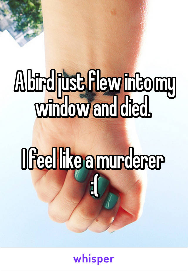 A bird just flew into my window and died. 

I feel like a murderer 
:(