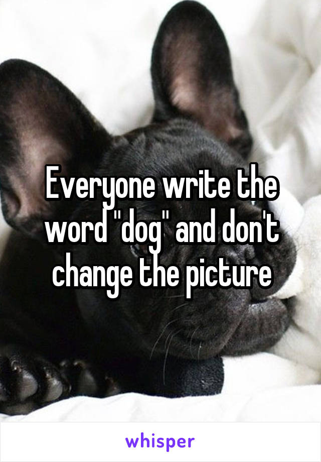 Everyone write the word "dog" and don't change the picture