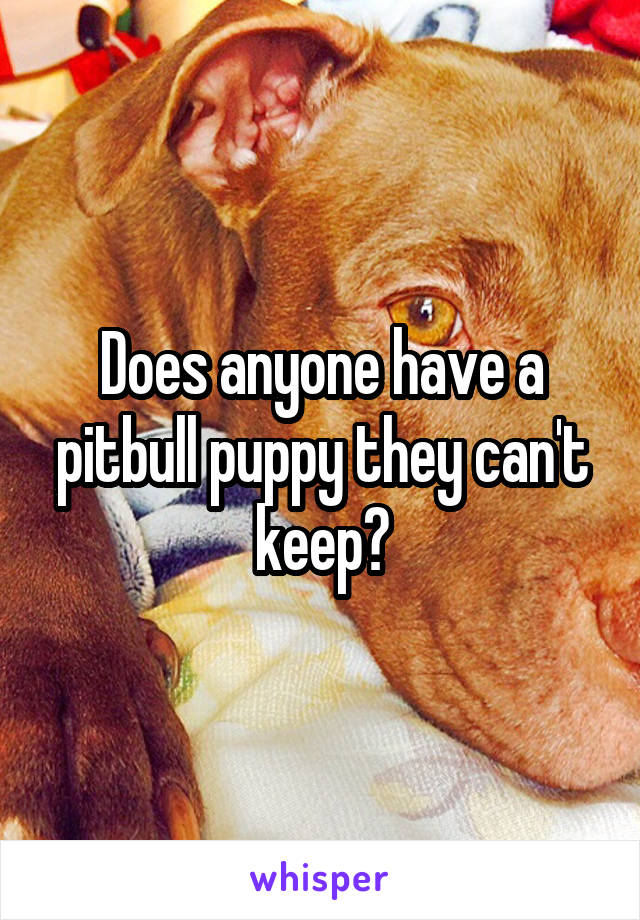 Does anyone have a pitbull puppy they can't keep?