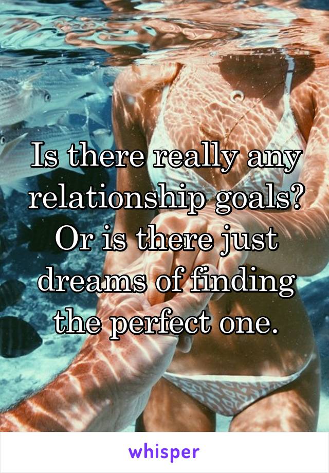 Is there really any relationship goals? Or is there just dreams of finding the perfect one.