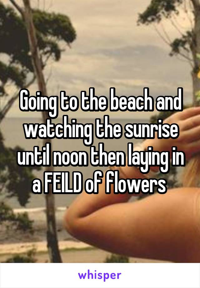 Going to the beach and watching the sunrise until noon then laying in a FEILD of flowers 