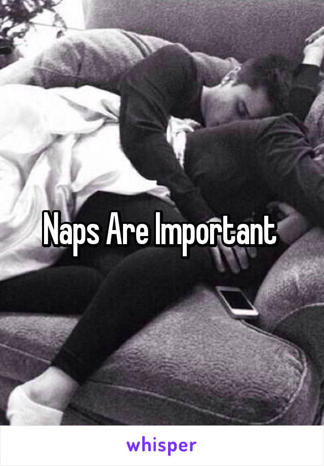 Naps Are Important 