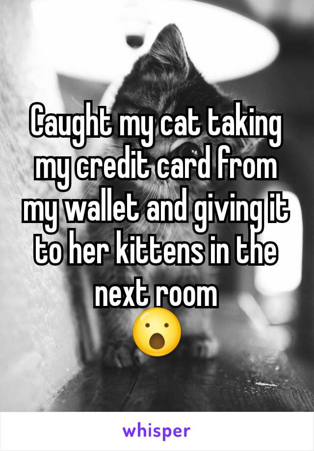 Caught my cat taking my credit card from my wallet and giving it to her kittens in the next room
😮