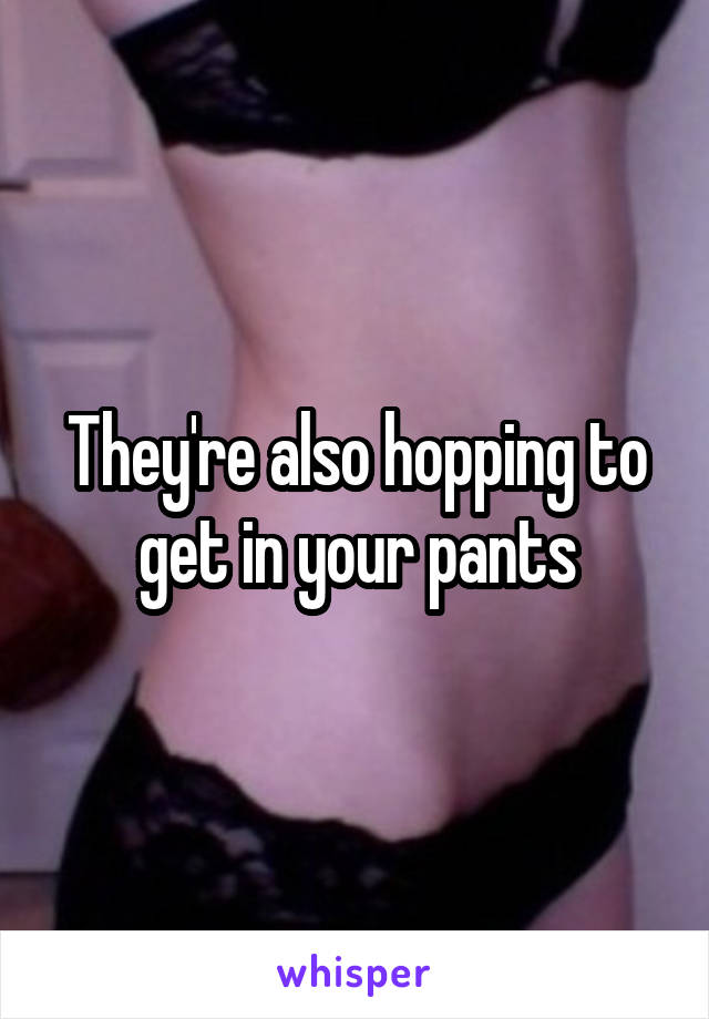 They're also hopping to get in your pants