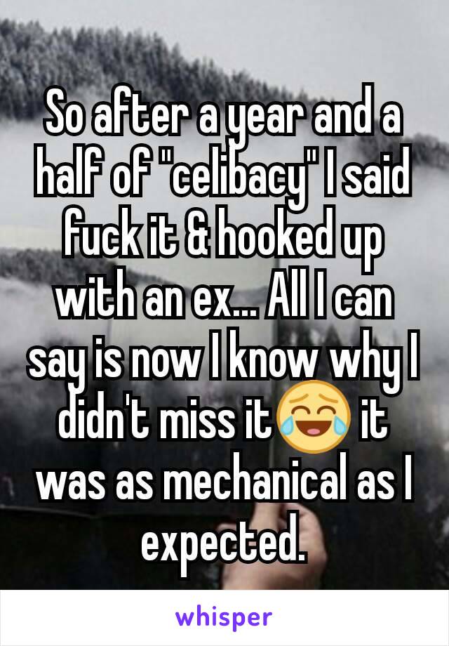 So after a year and a half of "celibacy" I said fuck it & hooked up with an ex... All I can say is now I know why I didn't miss it😂 it was as mechanical as I expected.