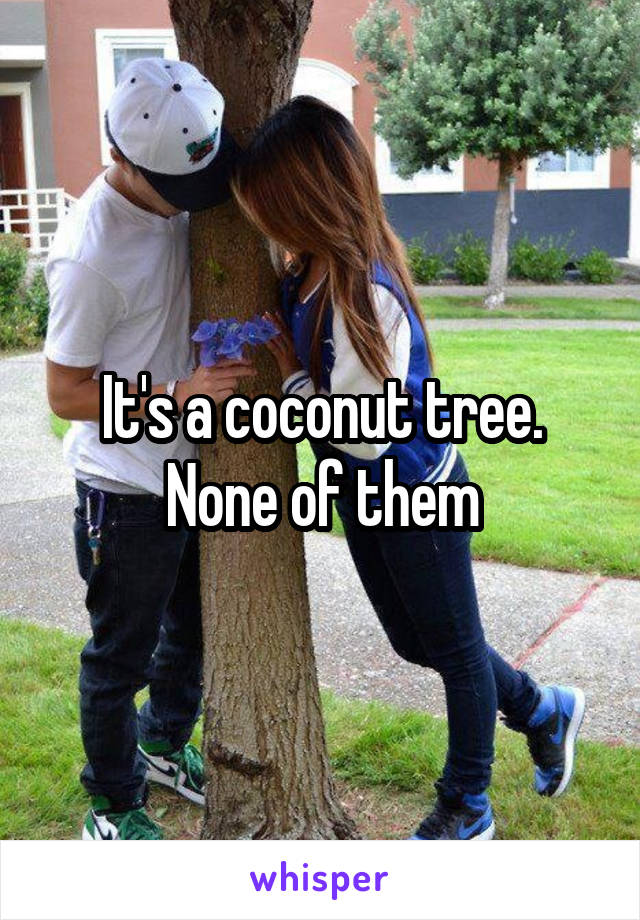 It's a coconut tree. None of them