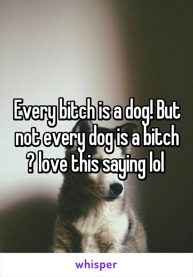 Every bitch is a dog! But not every dog is a bitch 😂 love this saying lol 