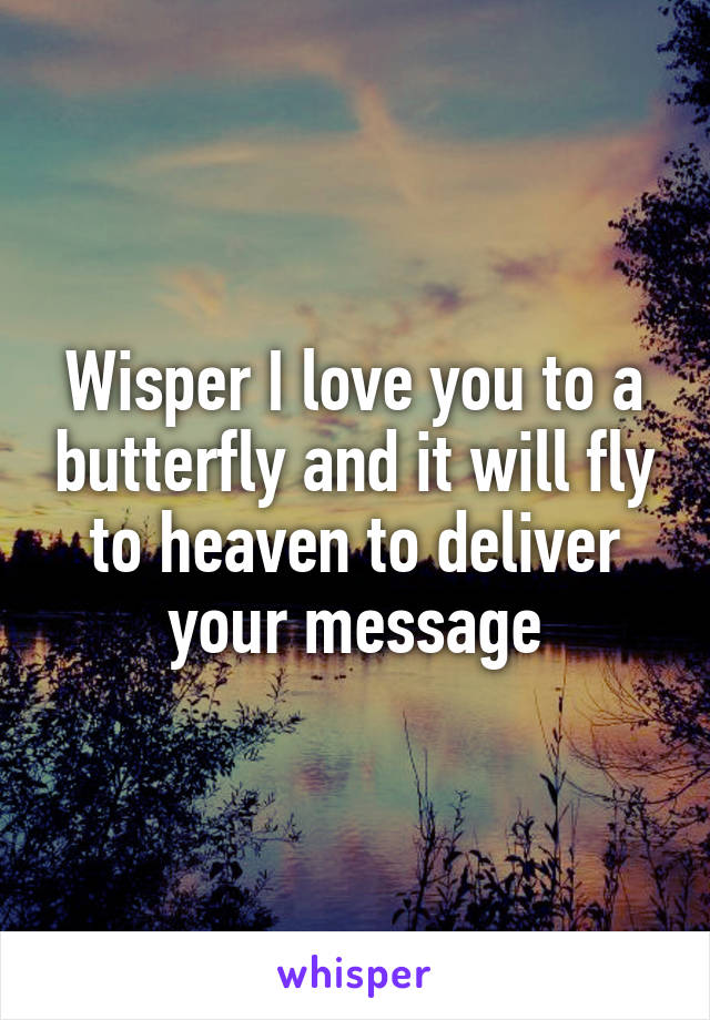 Wisper I love you to a butterfly and it will fly to heaven to deliver your message