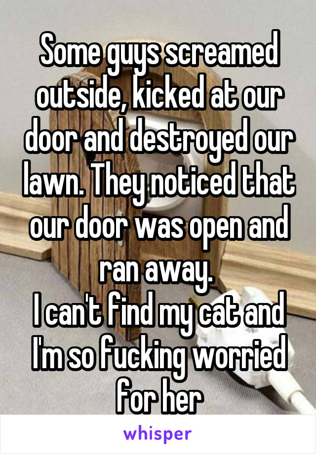 Some guys screamed outside, kicked at our door and destroyed our lawn. They noticed that our door was open and ran away. 
I can't find my cat and I'm so fucking worried for her