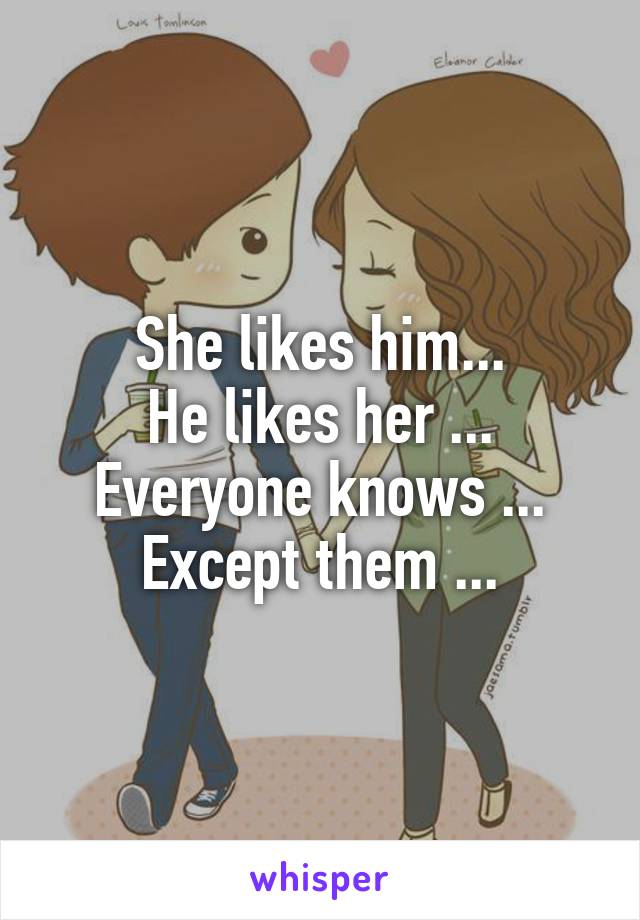 She likes him...
He likes her ...
Everyone knows ...
Except them ...