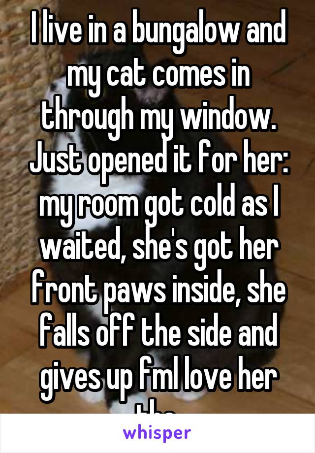 I live in a bungalow and my cat comes in through my window. Just opened it for her: my room got cold as I waited, she's got her front paws inside, she falls off the side and gives up fml love her tho 