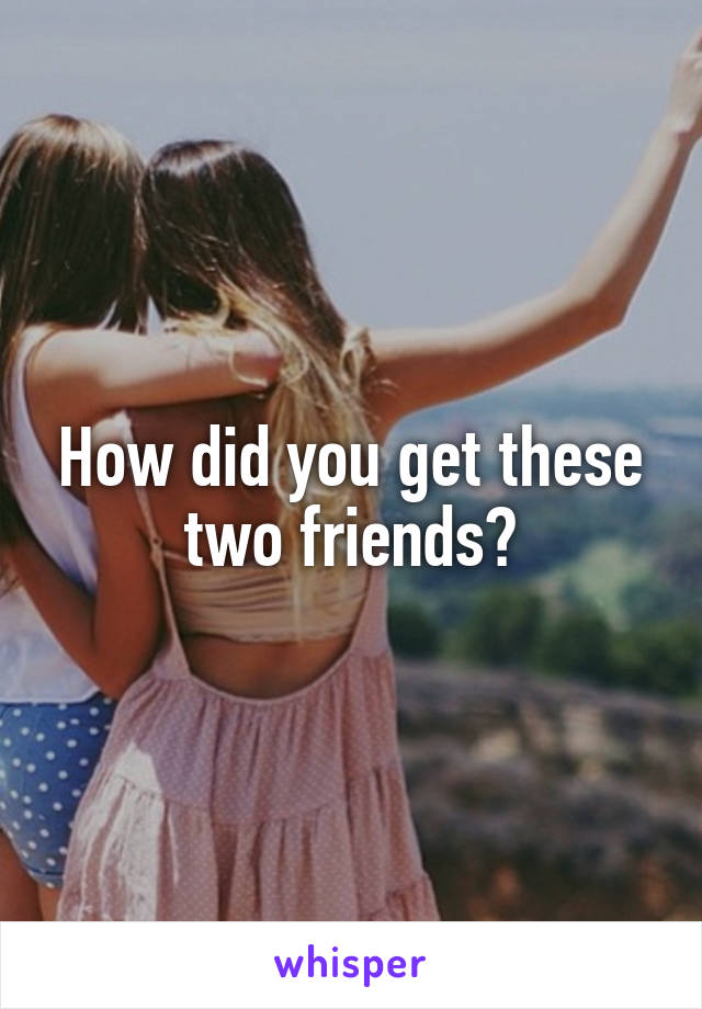 How did you get these two friends?