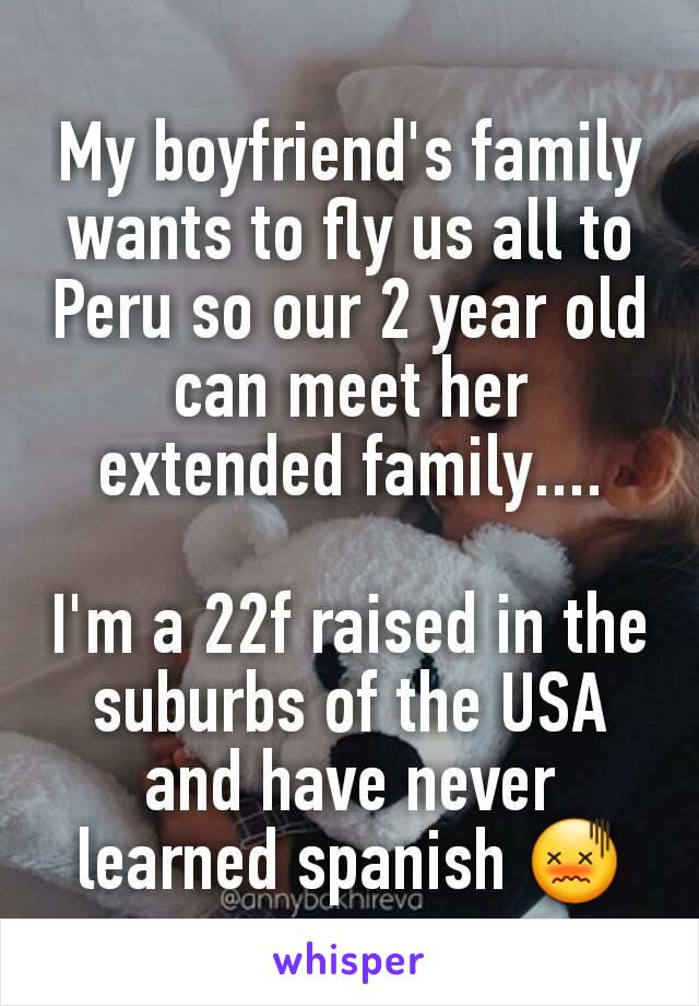 My boyfriend's family wants to fly us all to Peru so our 2 year old can meet her extended family....

I'm a 22f raised in the suburbs of the USA and have never learned spanish 😖