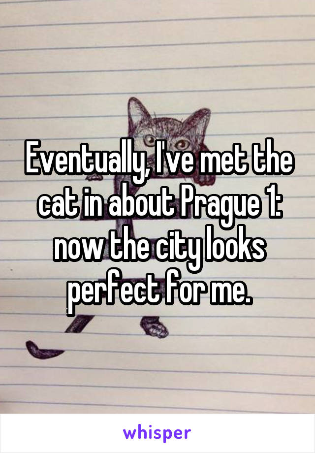 Eventually, I've met the cat in about Prague 1: now the city looks perfect for me.