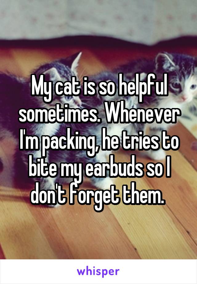 My cat is so helpful sometimes. Whenever I'm packing, he tries to bite my earbuds so I don't forget them. 