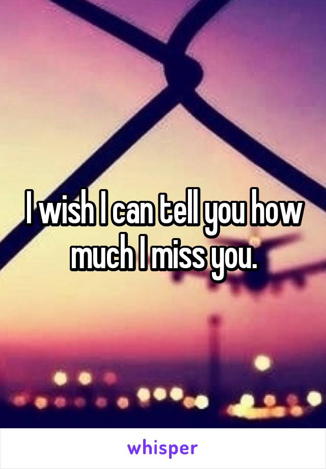 I wish I can tell you how much I miss you.