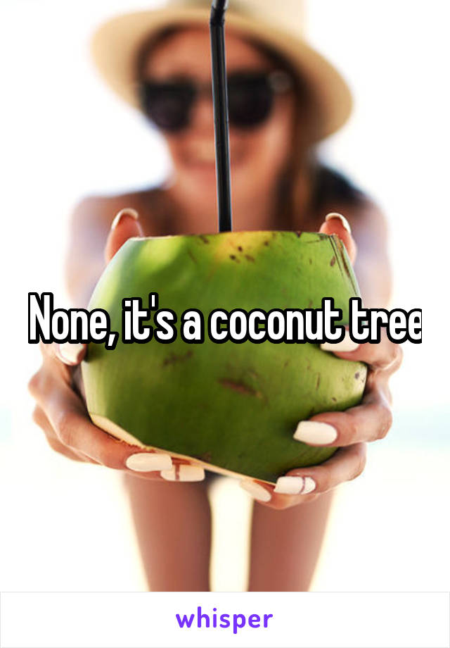 None, it's a coconut tree