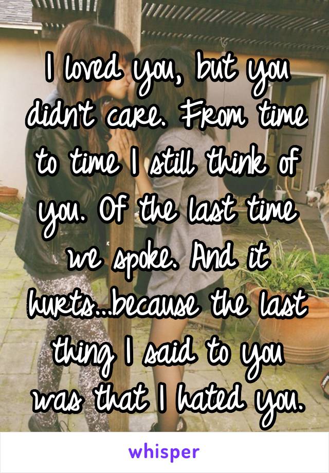 I loved you, but you didn't care. From time to time I still think of you. Of the last time we spoke. And it hurts...because the last thing I said to you was that I hated you.