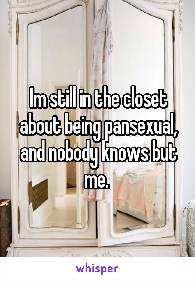 Im still in the closet about being pansexual, and nobody knows but me. 