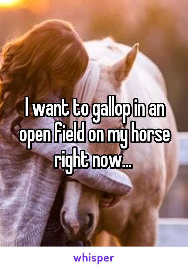 I want to gallop in an open field on my horse right now... 