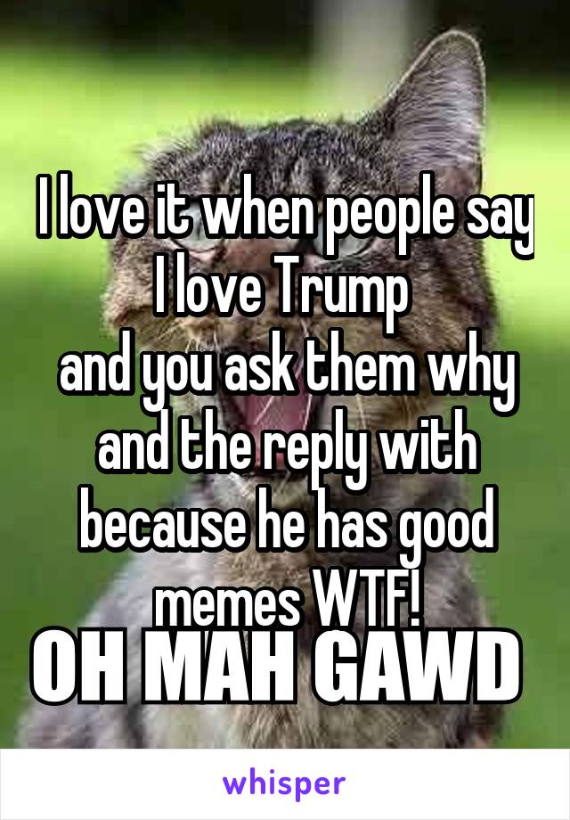 I love it when people say I love Trump 
and you ask them why and the reply with because he has good memes WTF!