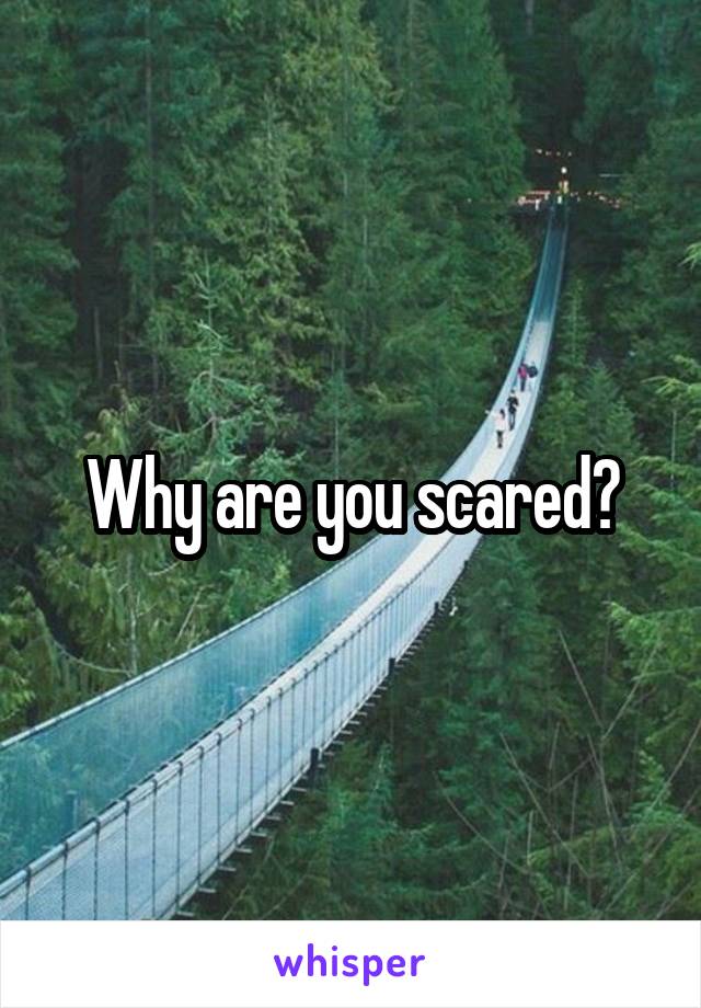 Why are you scared?