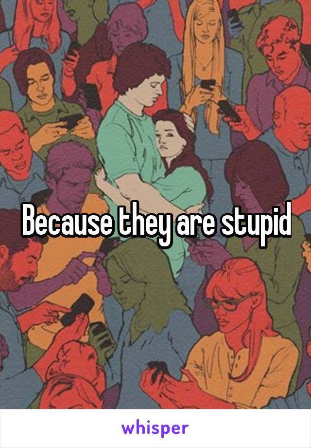 Because they are stupid