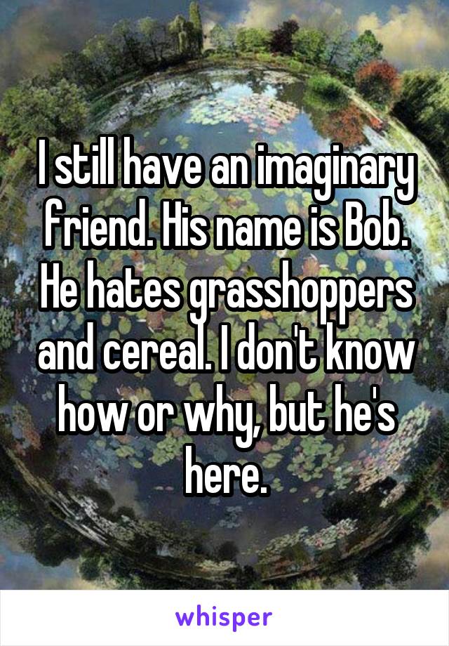 I still have an imaginary friend. His name is Bob. He hates grasshoppers and cereal. I don't know how or why, but he's here.