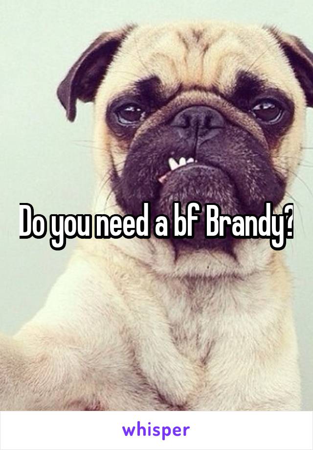 Do you need a bf Brandy?