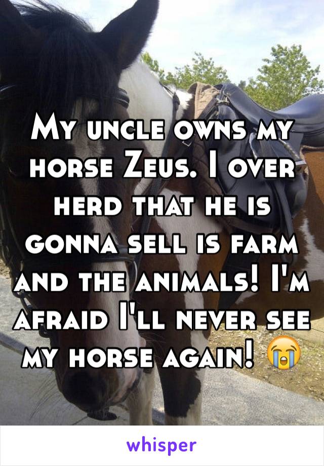 My uncle owns my horse Zeus. I over herd that he is gonna sell is farm and the animals! I'm afraid I'll never see my horse again! 😭