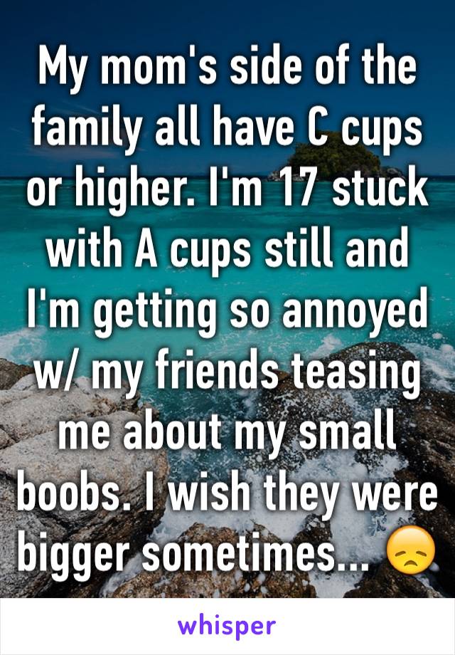 My mom's side of the family all have C cups or higher. I'm 17 stuck with A cups still and I'm getting so annoyed w/ my friends teasing me about my small boobs. I wish they were bigger sometimes... 😞