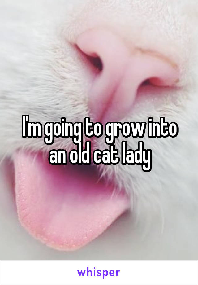 I'm going to grow into an old cat lady