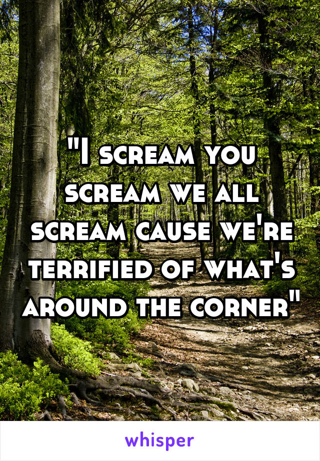 "I scream you scream we all scream cause we're terrified of what's around the corner"